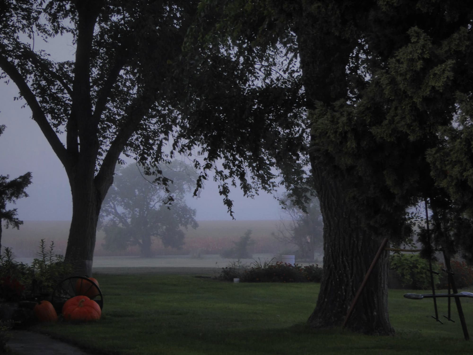 Nebraska Mist