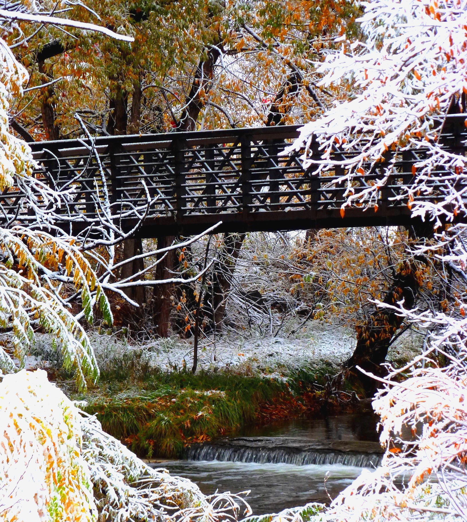 Icy Bridge