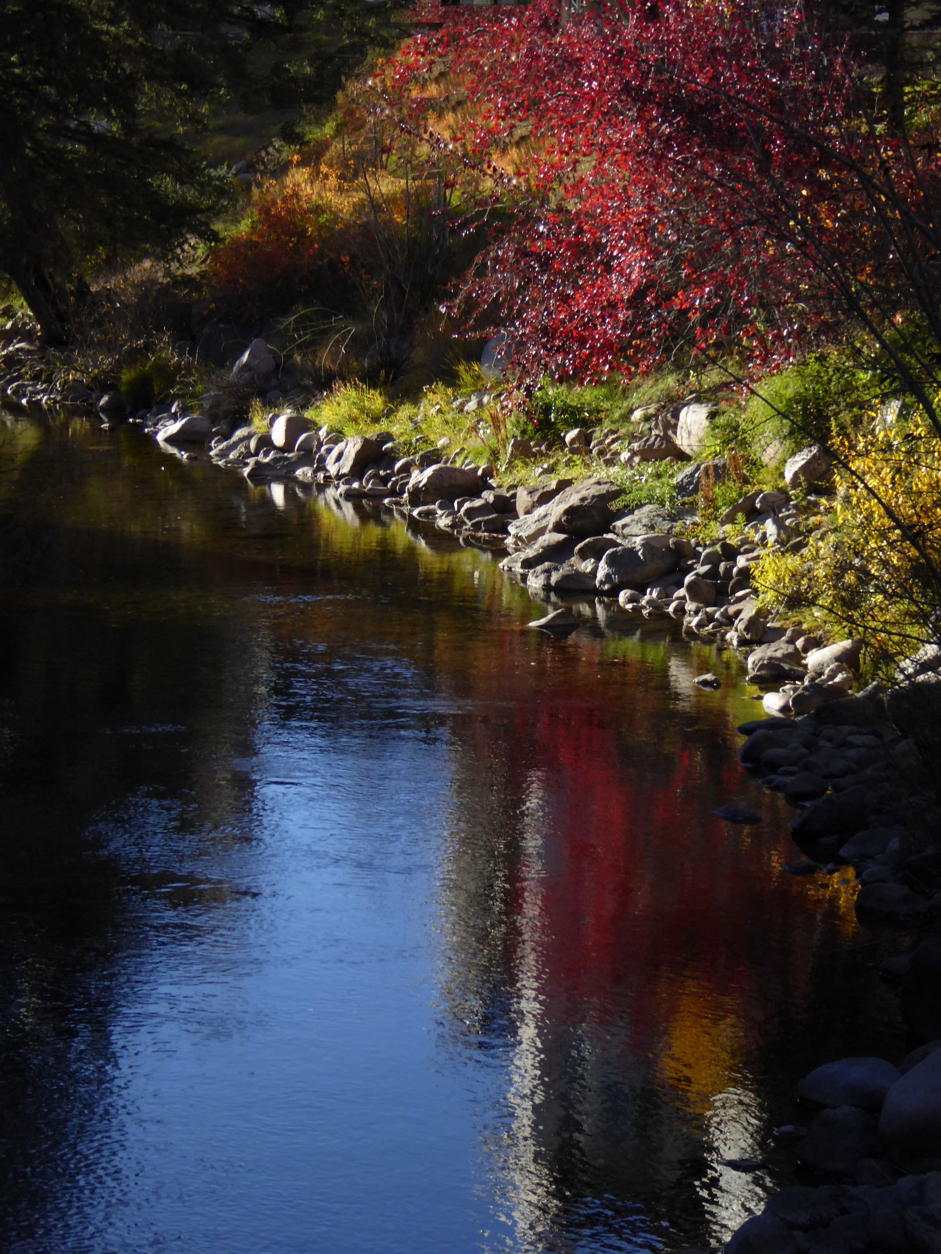 Stream in Autumn Splendor