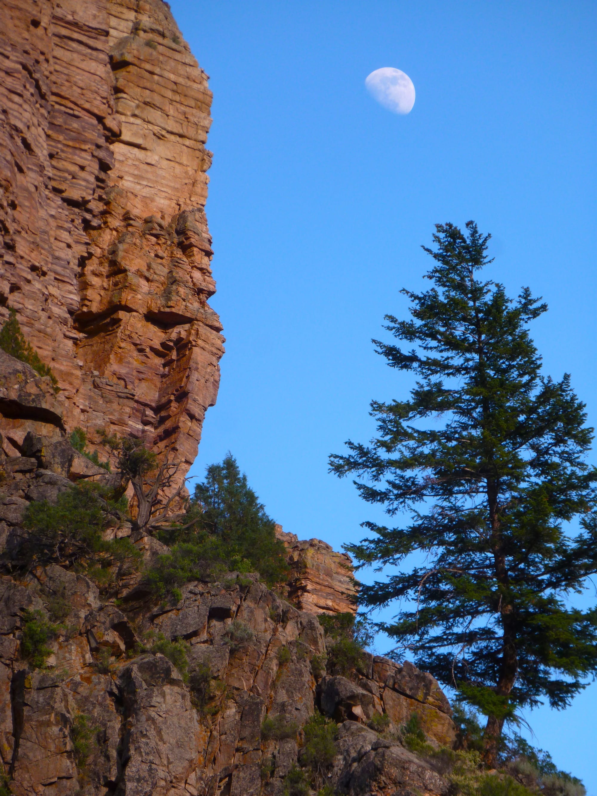 Moon View