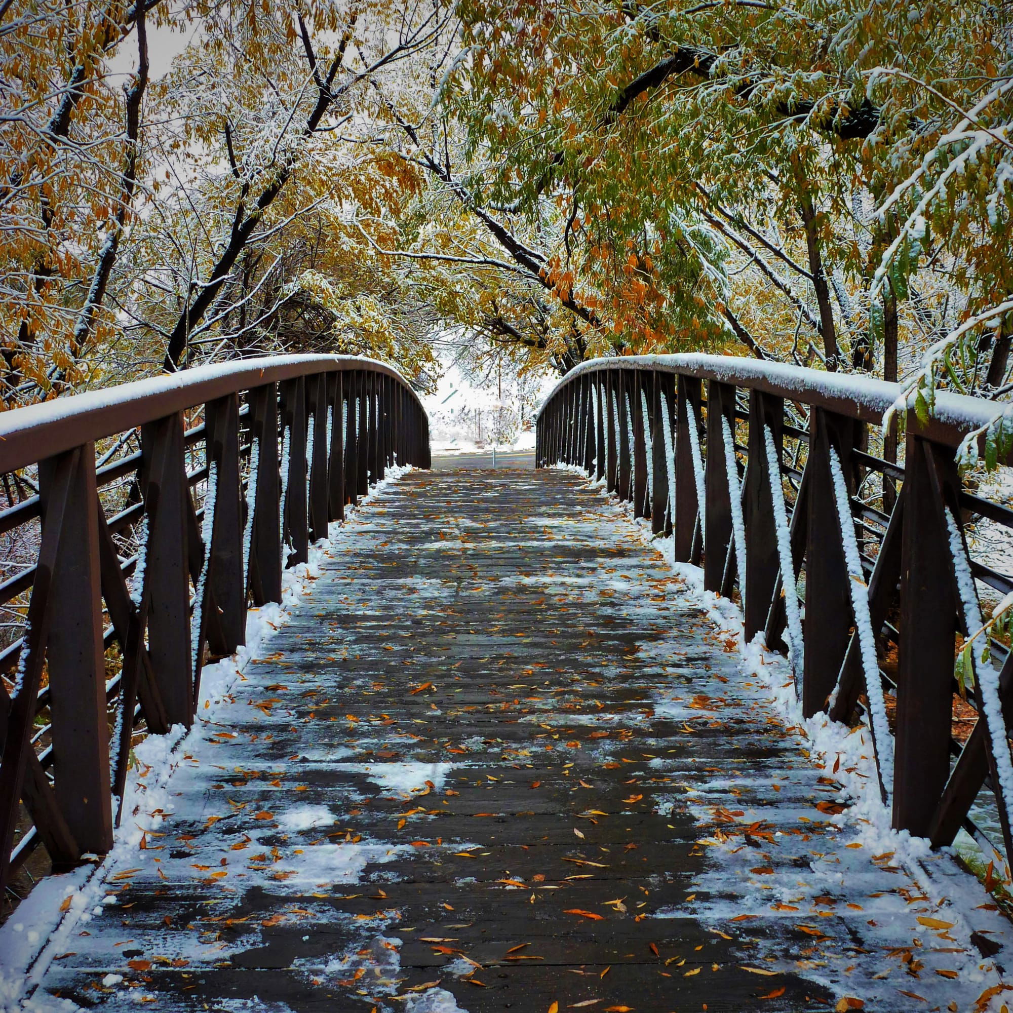 Frosted Bridge