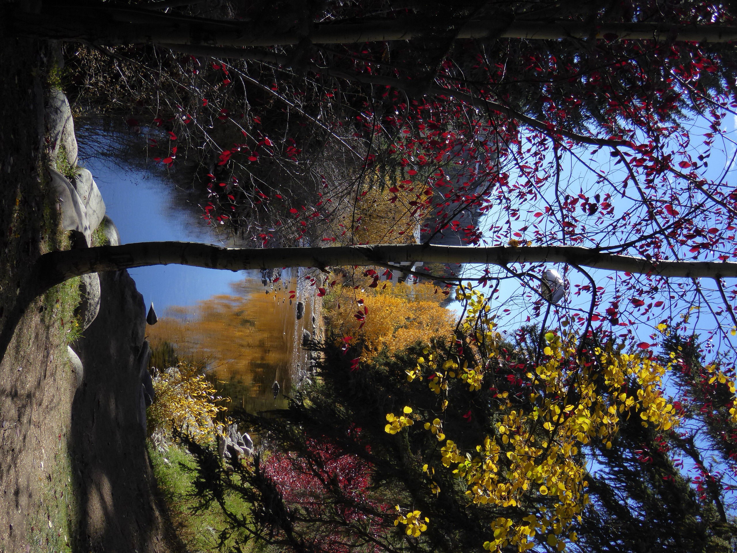 Riverside Colors