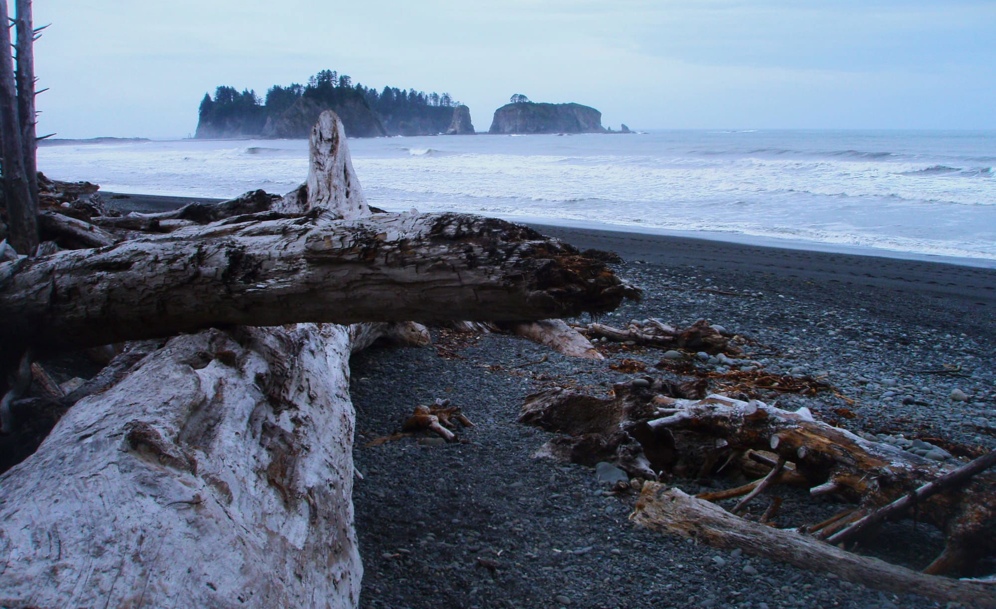 Rialto Beach Driftwood