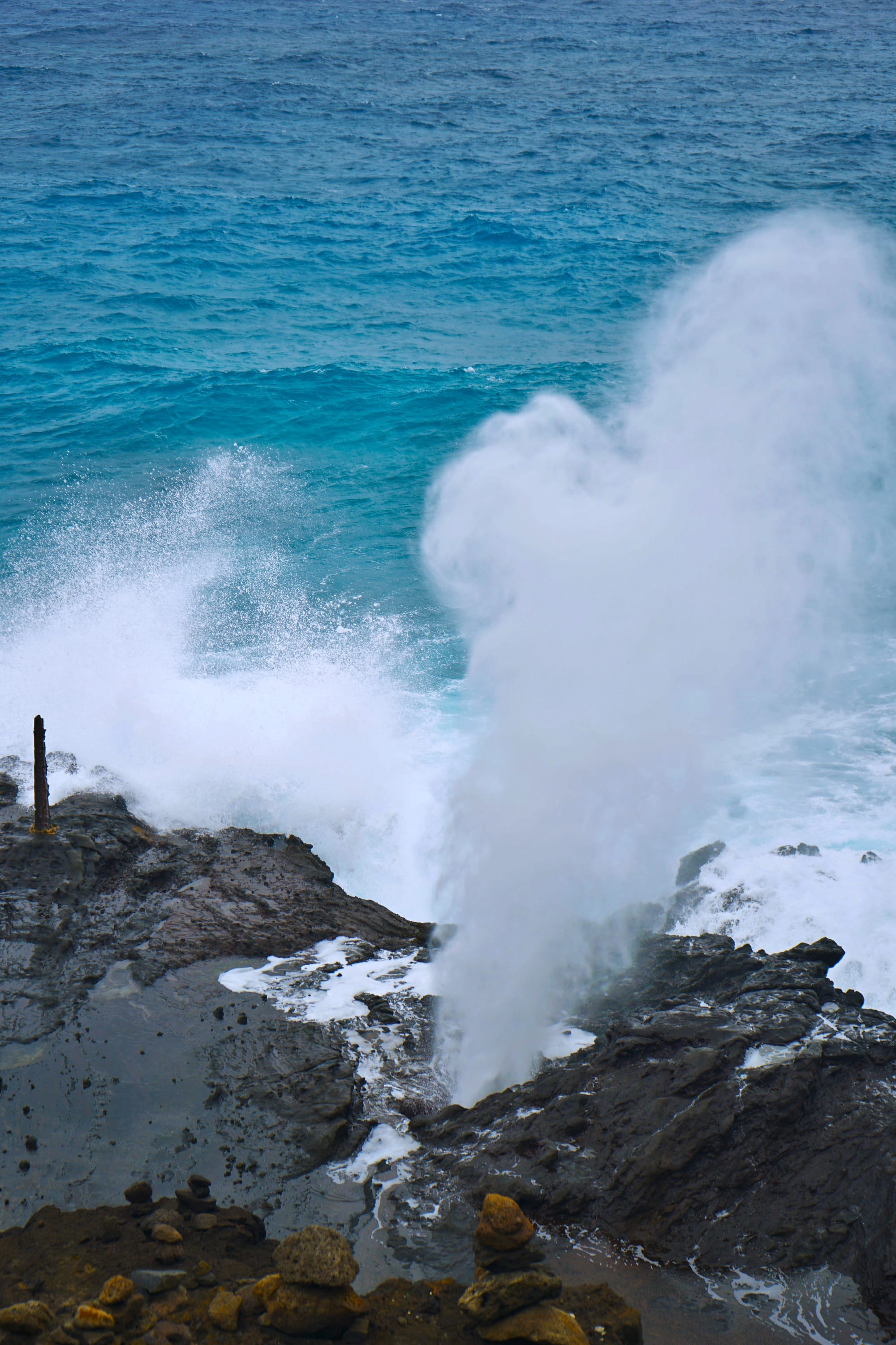 Dar' She Blows!