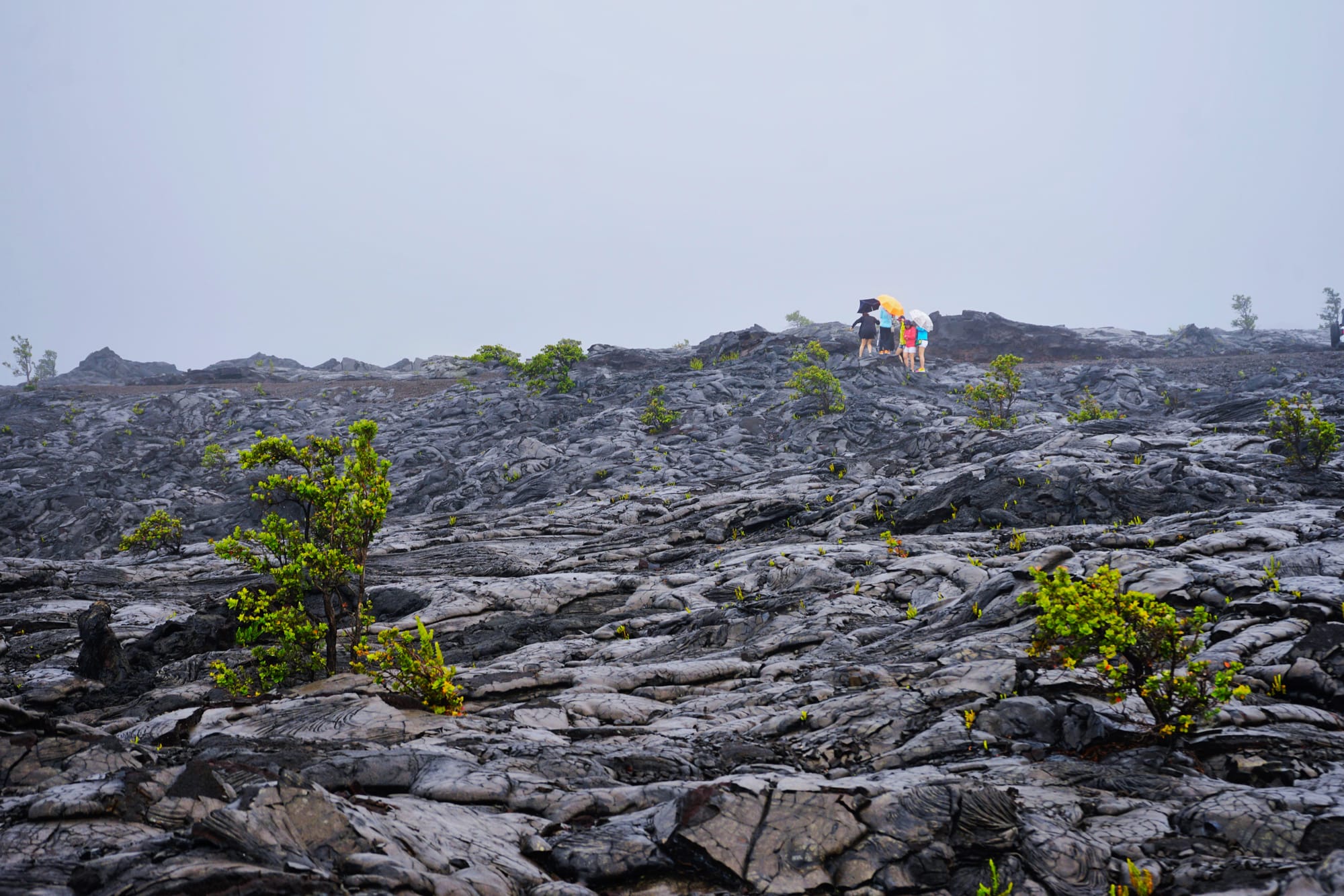 Lava Fields Volcano National Park