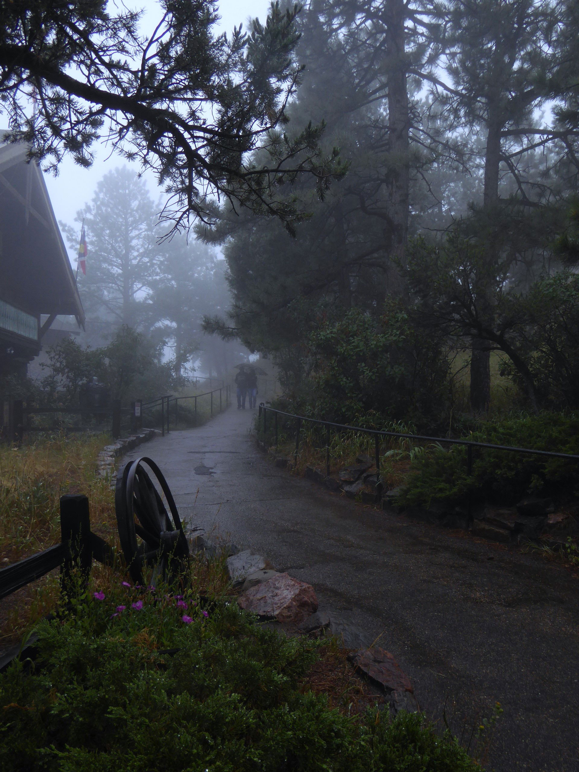 A Stroll in the Mist