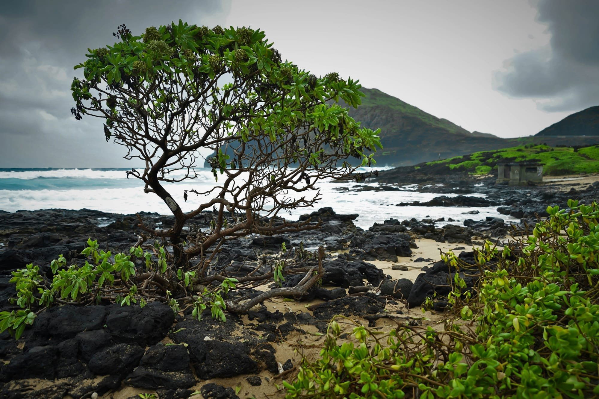 Incoming Storm Oahu Coast