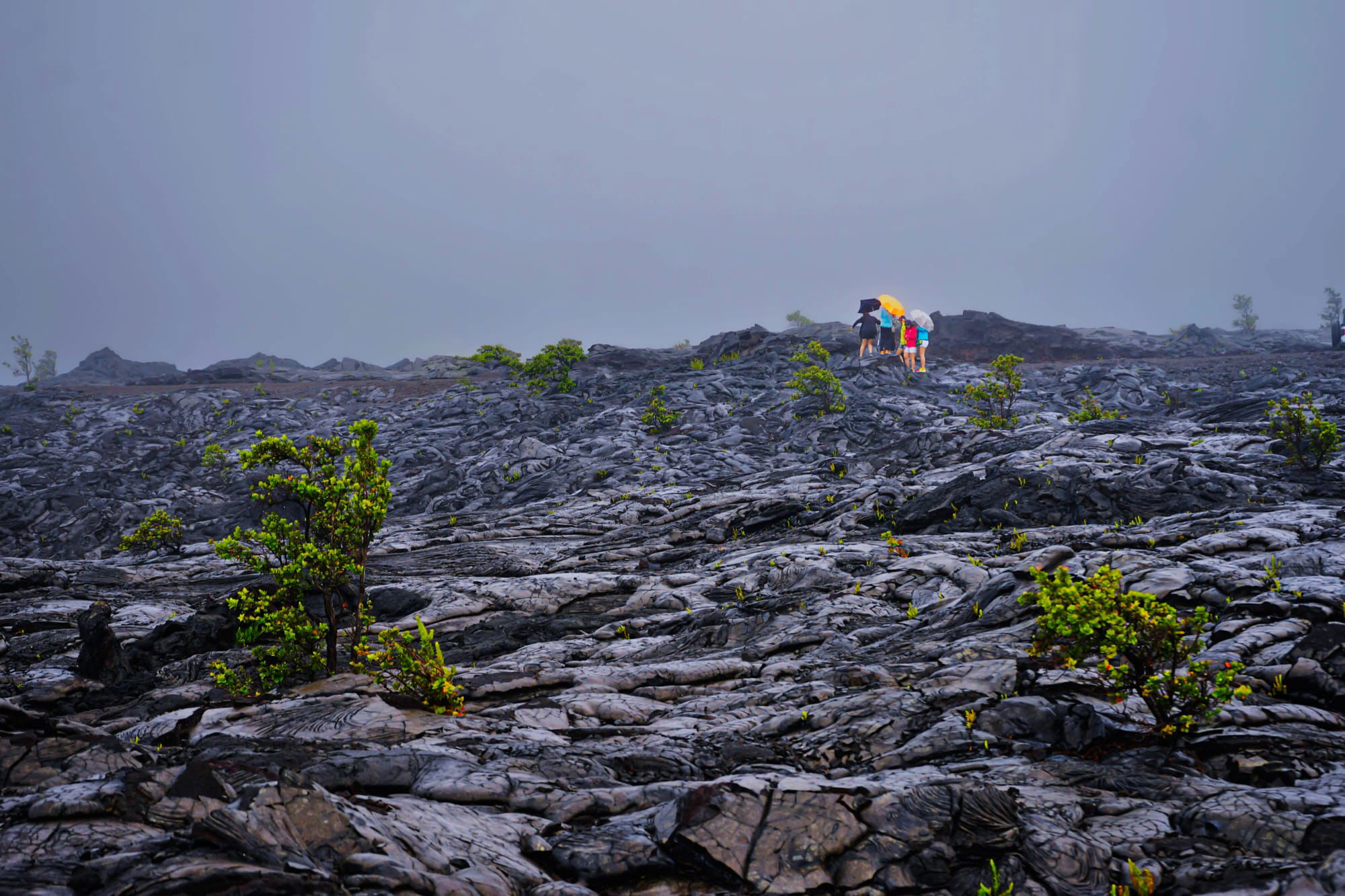 Lava Fields Volcano National Park