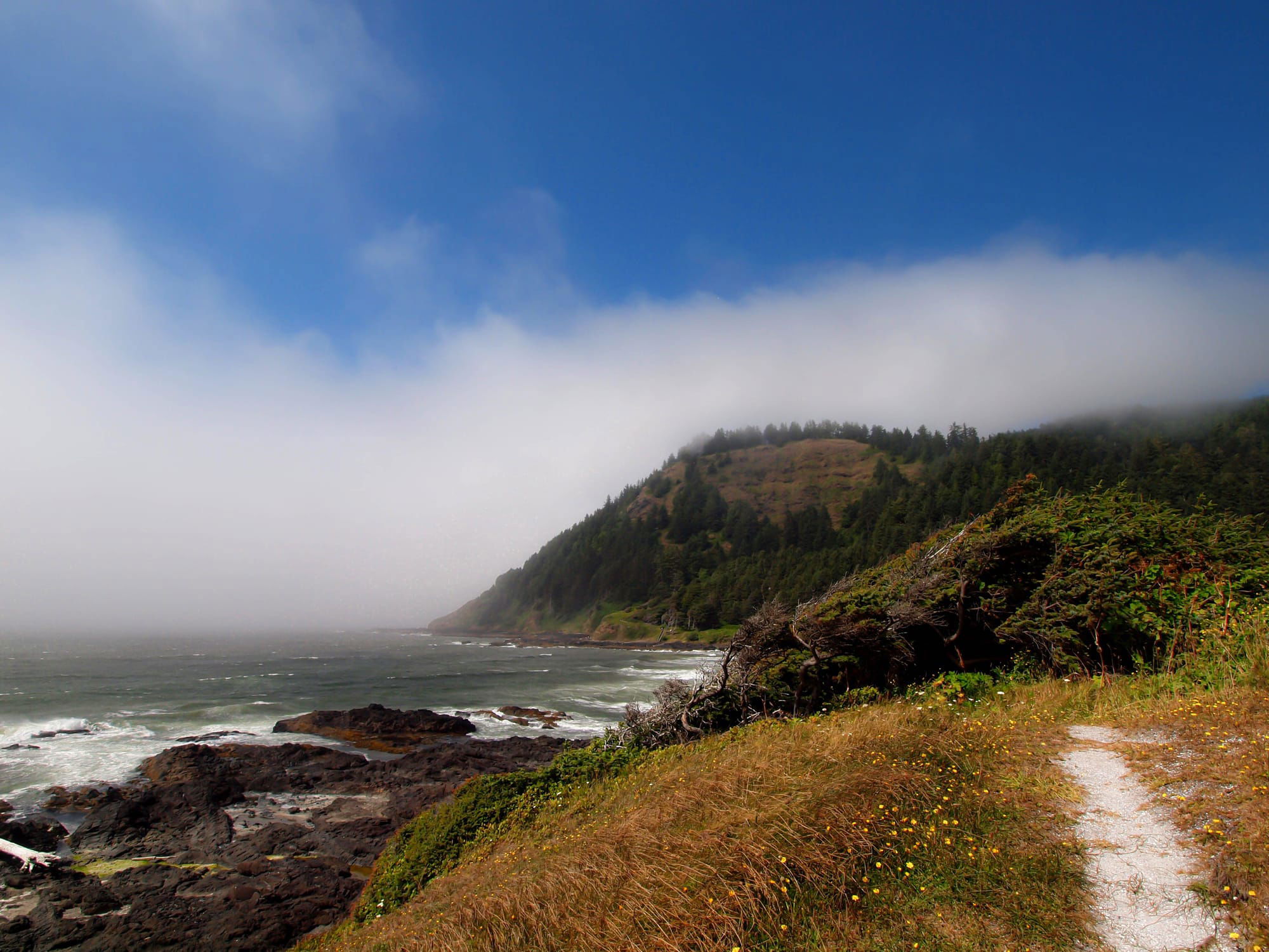 Oregon Coast