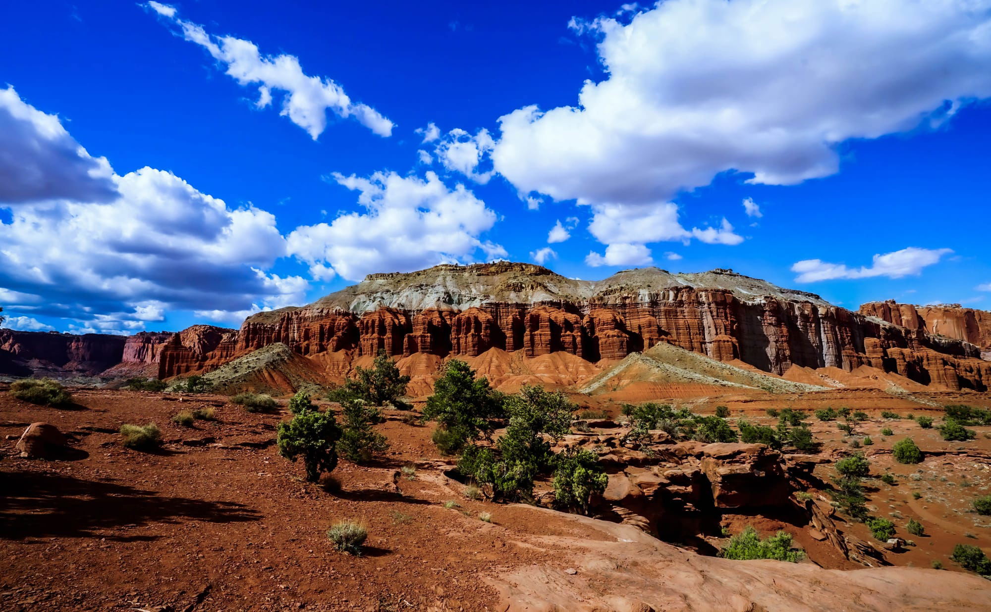 Sandstone Reef