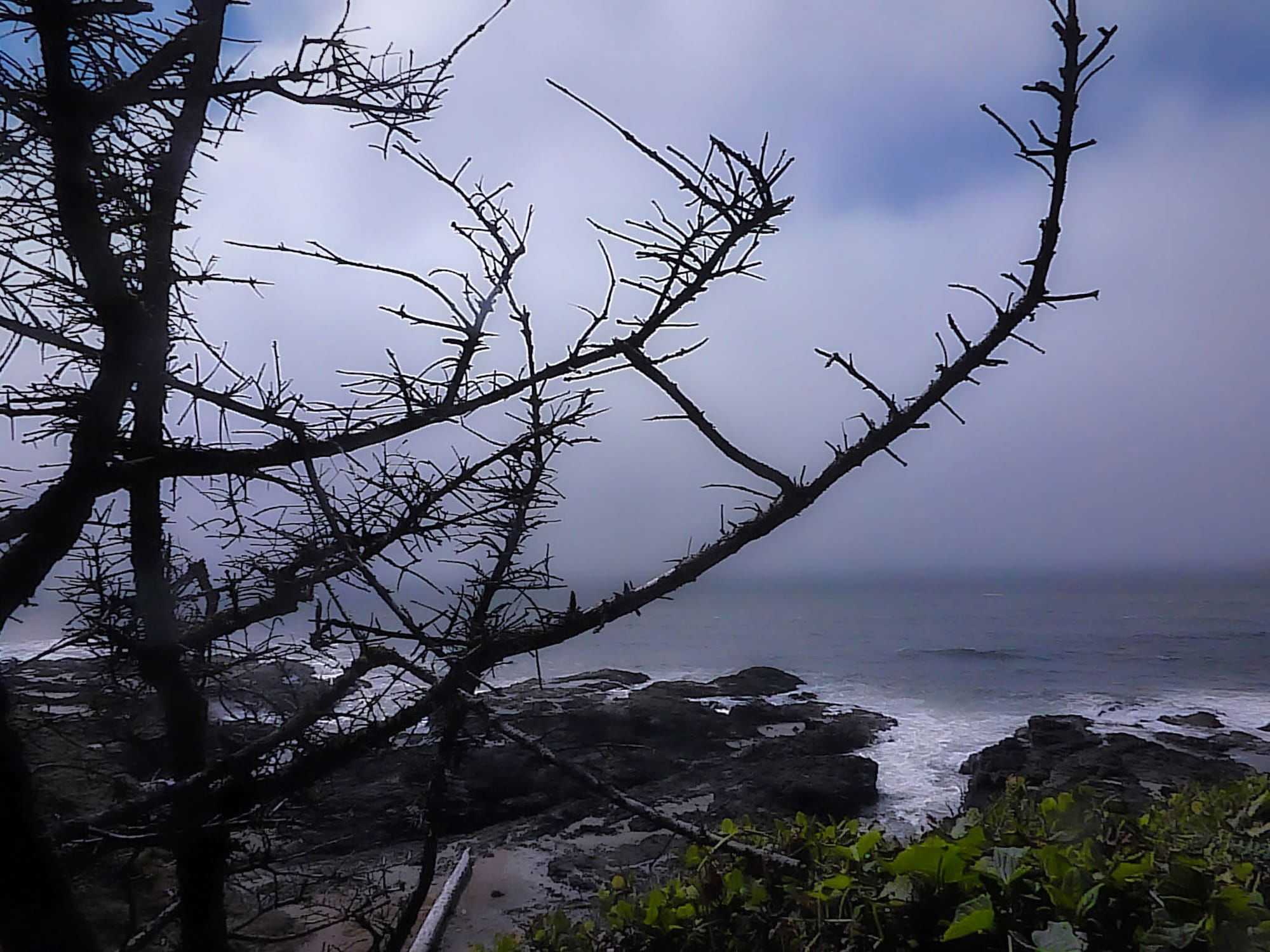 Foggy Oahu Coast