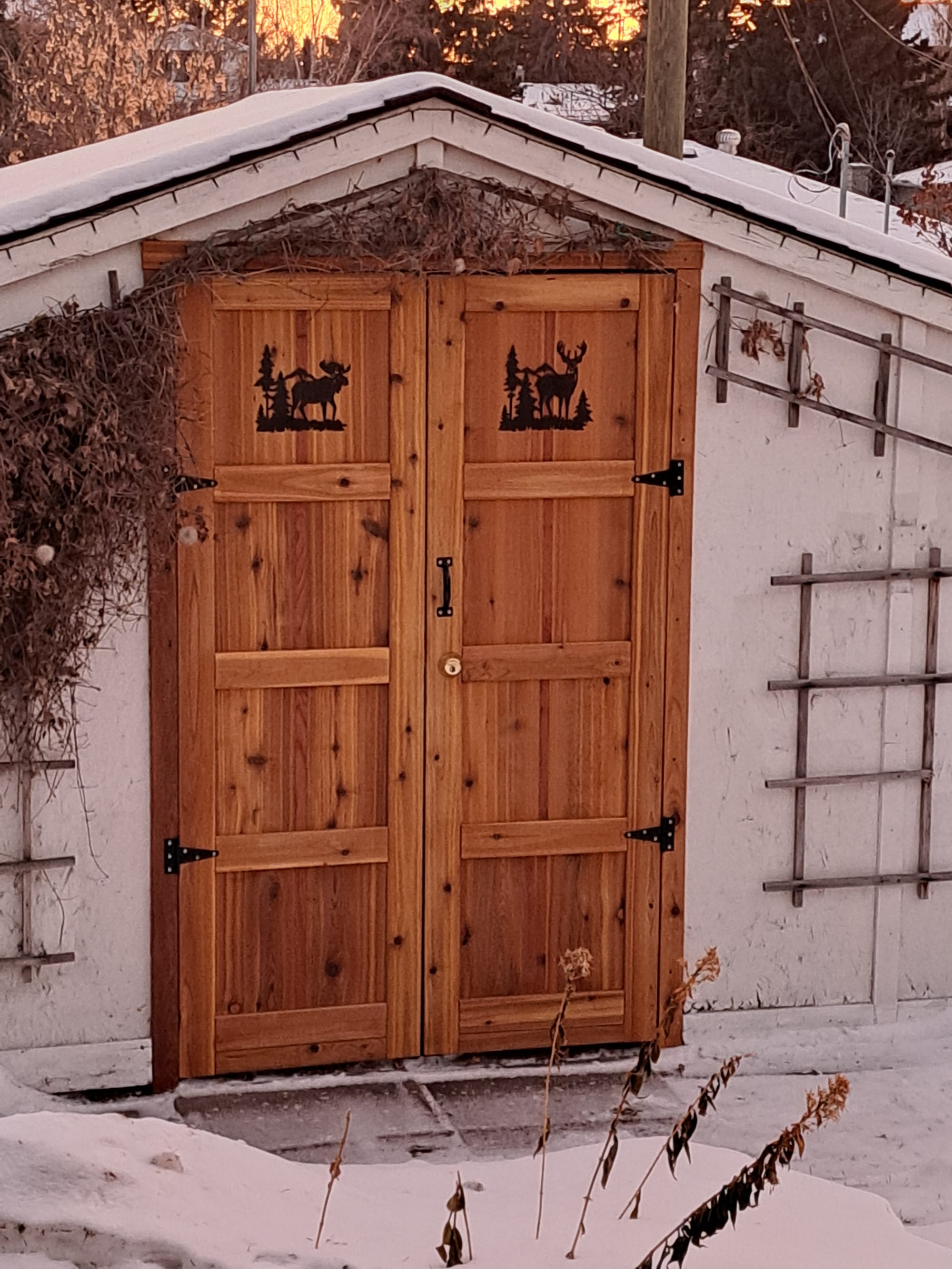 Shed door (custom)