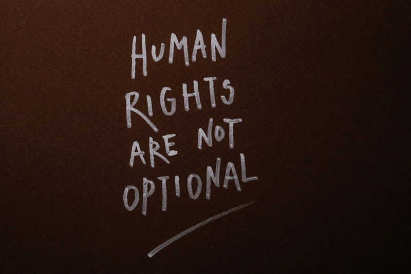 Human Rights Monitoring programme