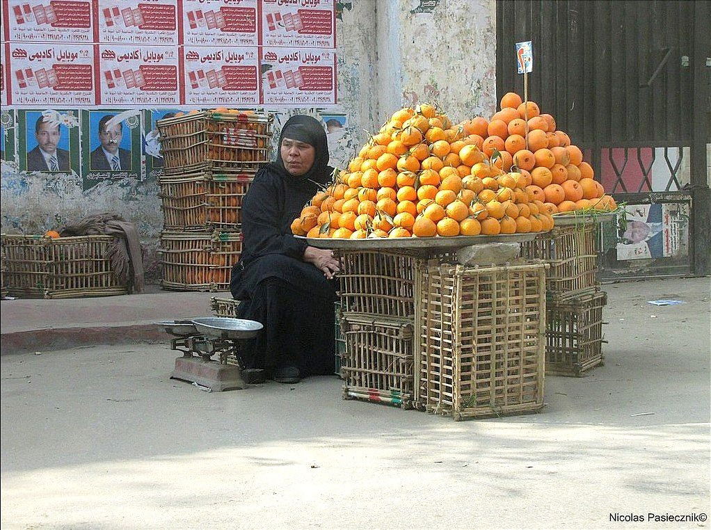 Vendedora de mandarinas de GIzah
