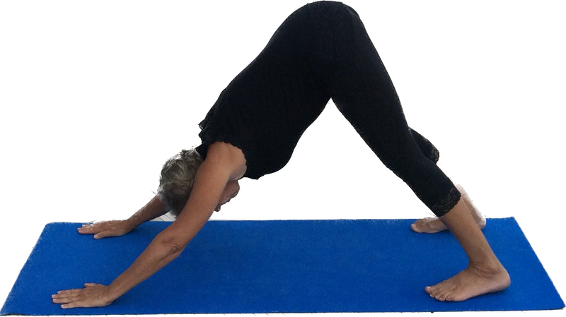 Yoga für Bauch, Beine und Beckenboden, 5 Termine
