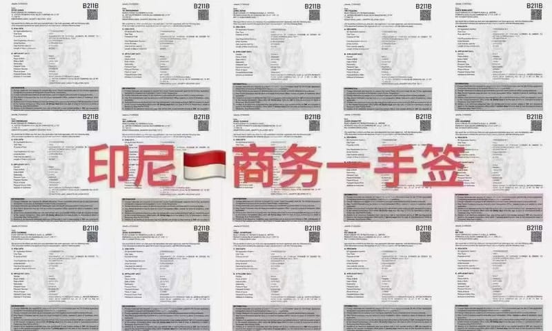 MANILA前往印尼需要什么签证?如何办理?印尼雅加达电子签证