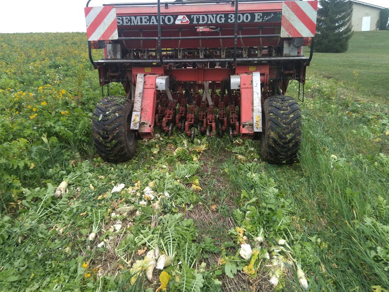 Le Traité Rustica De La Conservation