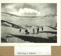 Skiing at Cedars