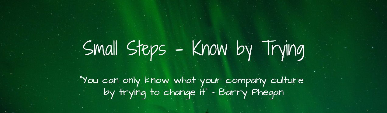 SMALL STEPS - KNOWING BY TRYING
