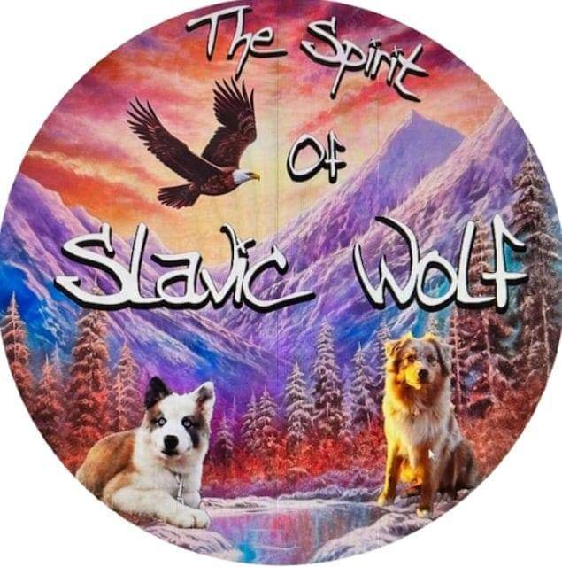 🐺 ELEVAGE THE SPIRIT OF SLAVIC WOLF 🐺
