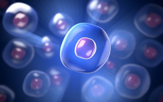 Medicina Ortomolecular ¿Qué es?