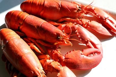 Tips for Preparing Crab Legs and Lobster Tails image