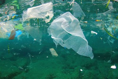 Downcycling PLASTICS from rivers // Plastik aus Flüssen downcyclen    image