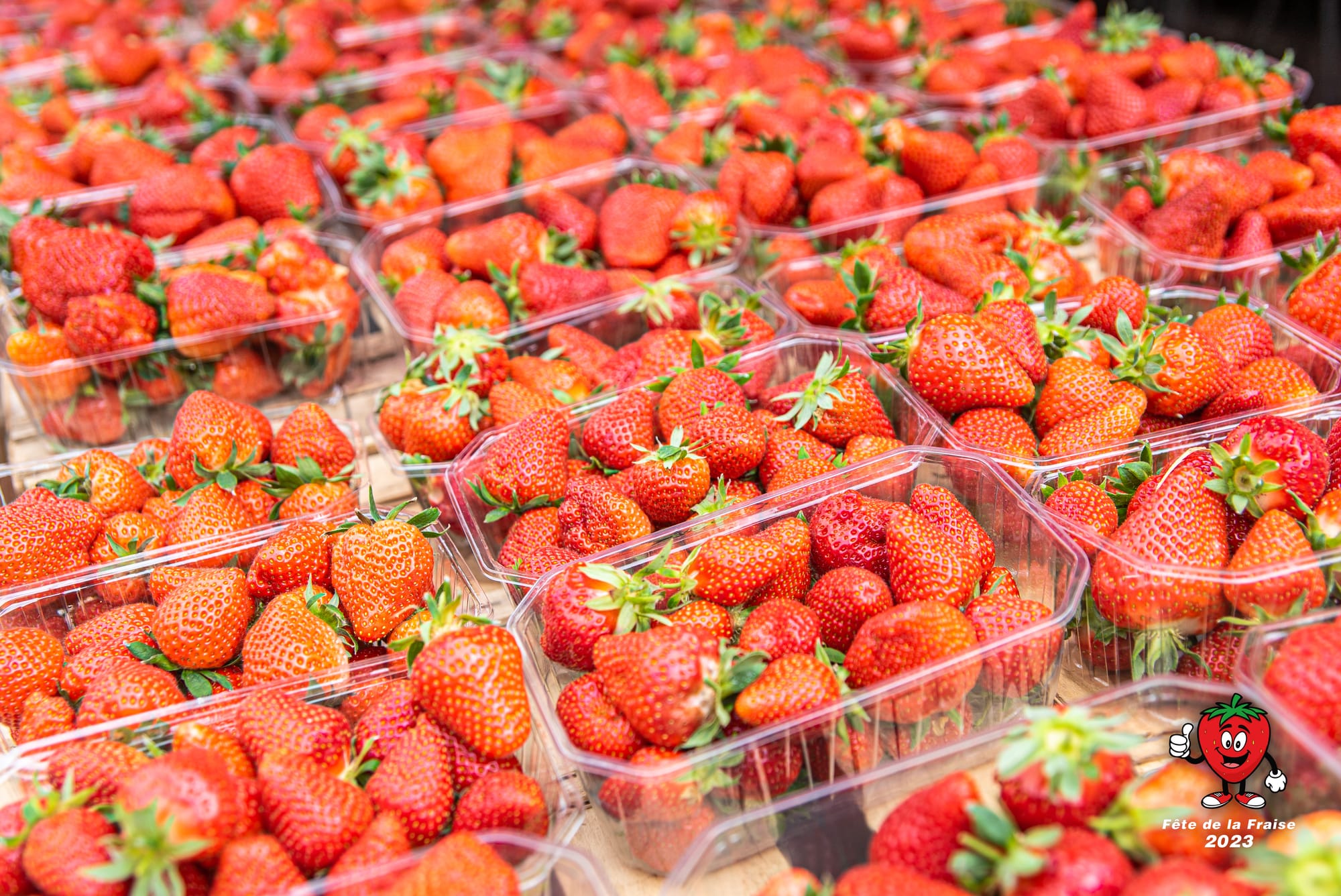 Site officiel Mairie d'Écaillon