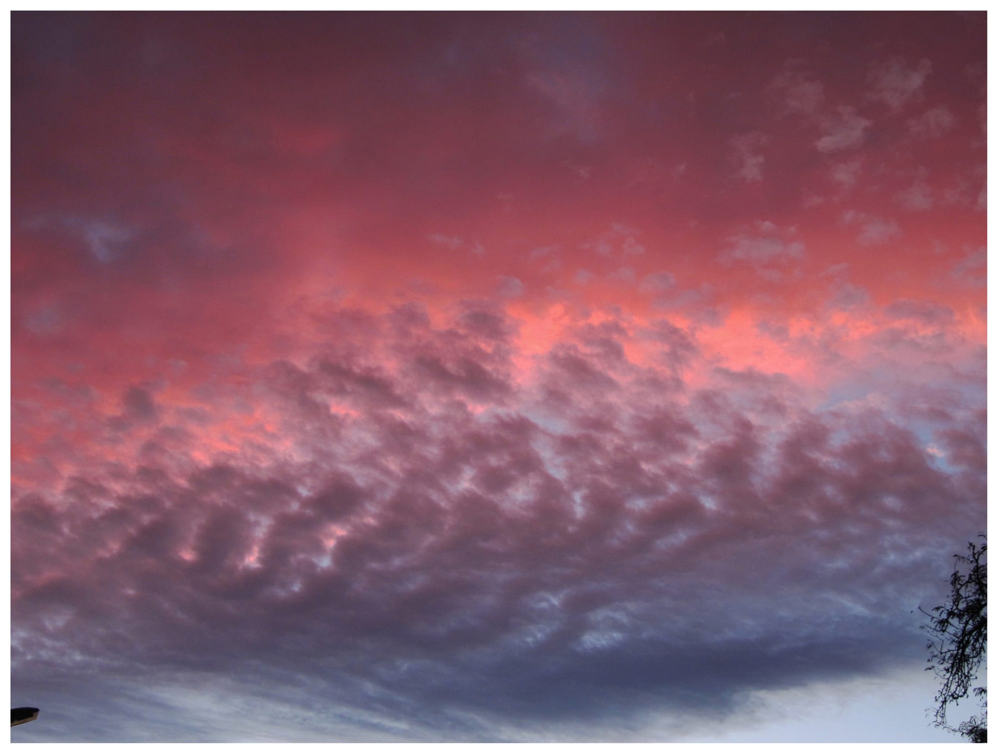 Evening glow (2021)