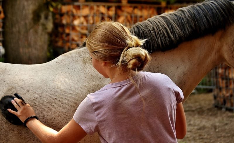Paardenkracht  voor pubers (15 tot 18 jaar)
