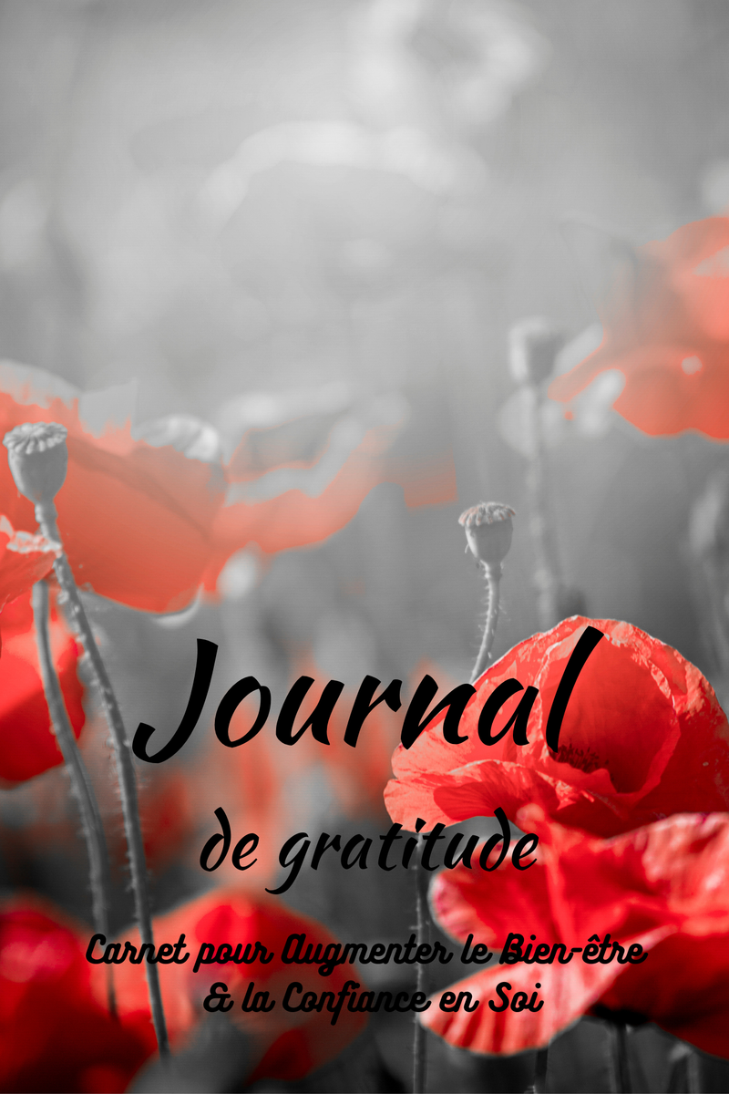 Journal de Gratitude Carnet pour développer la confiance en soi & le  bien-être - Cahier de texte - Achat & prix