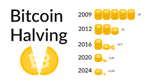 Bitcoin Halving: What You Need to Know?