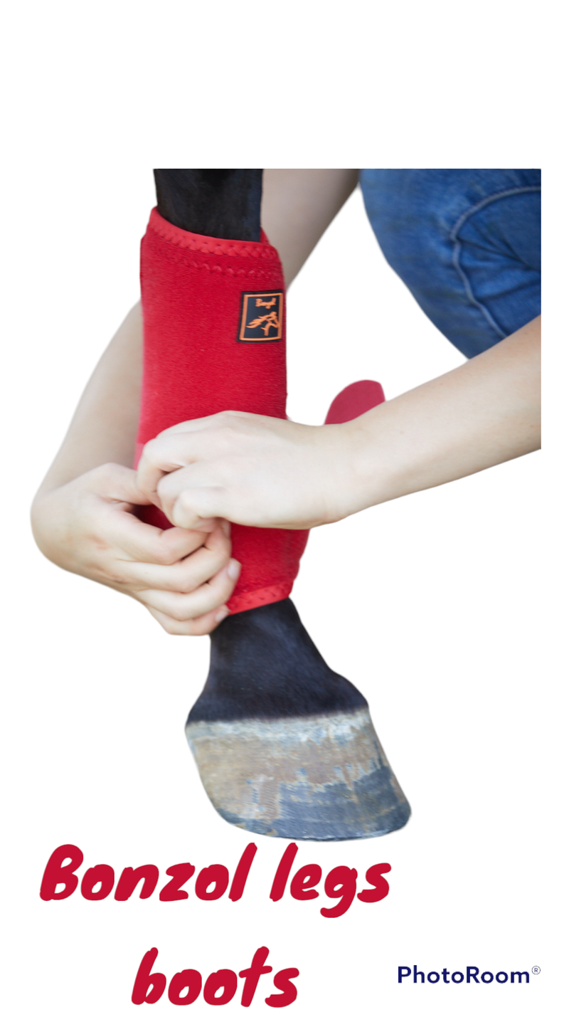 bell boots BONZOL HORSE WEAR