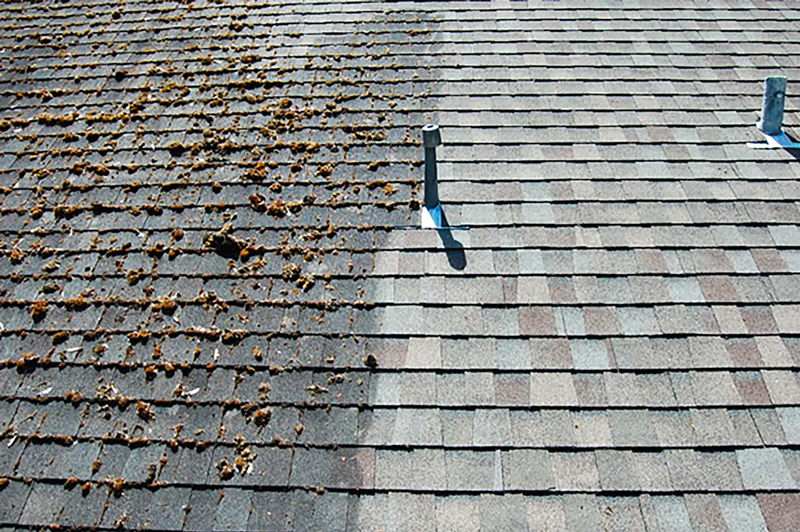 Roof Cleaning