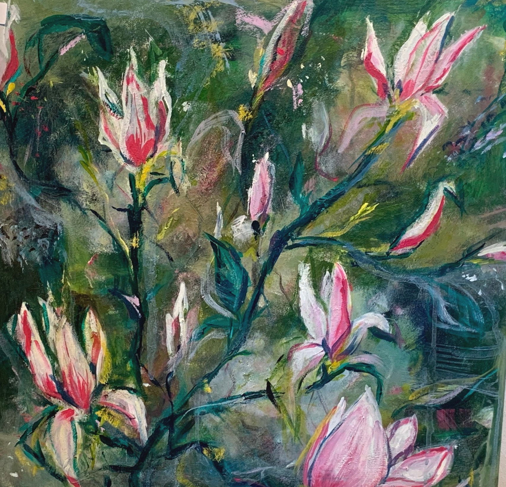 Magnolia tree 50 x 50 SOLGT