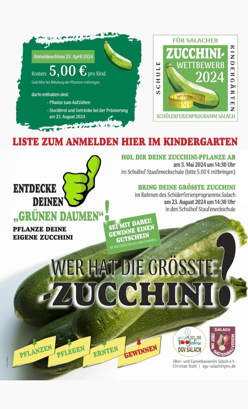 Zucchini-Pflanz-Wettbewerb