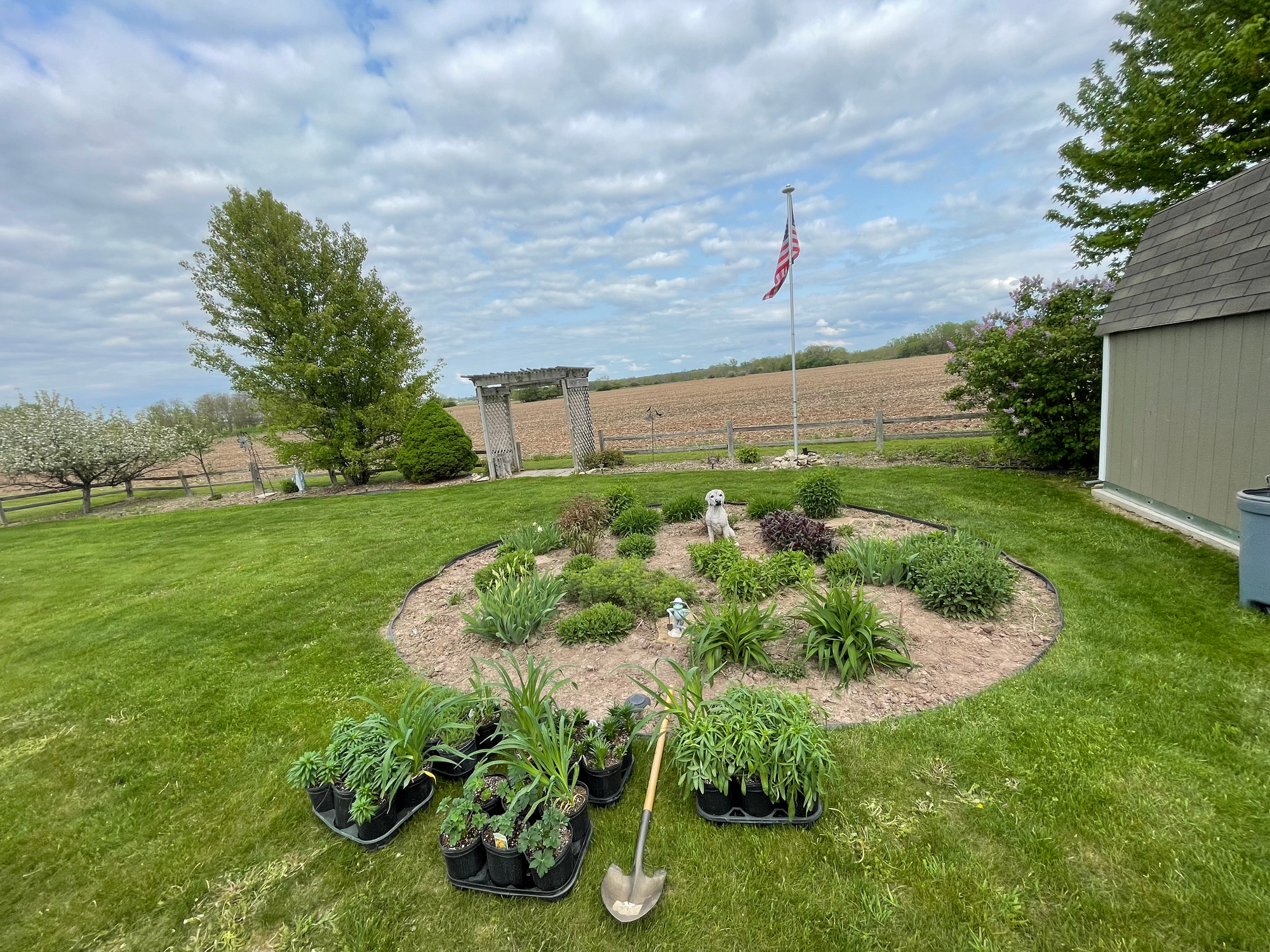 Perennial Planting Project-Before