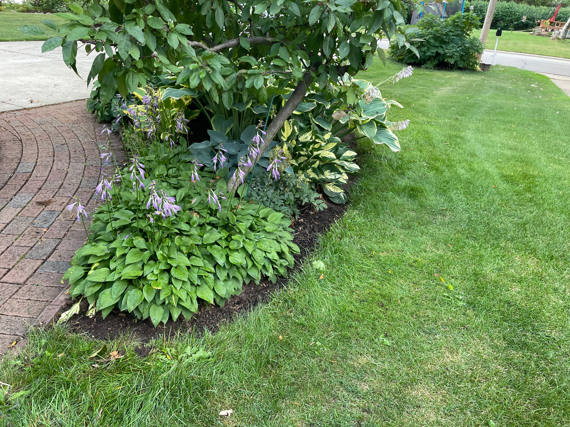 Garden Bed Edging Project