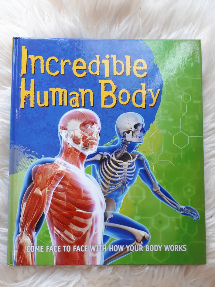 Incredible Human Body: Come Face to Face with How Your Body Works - Ex ...