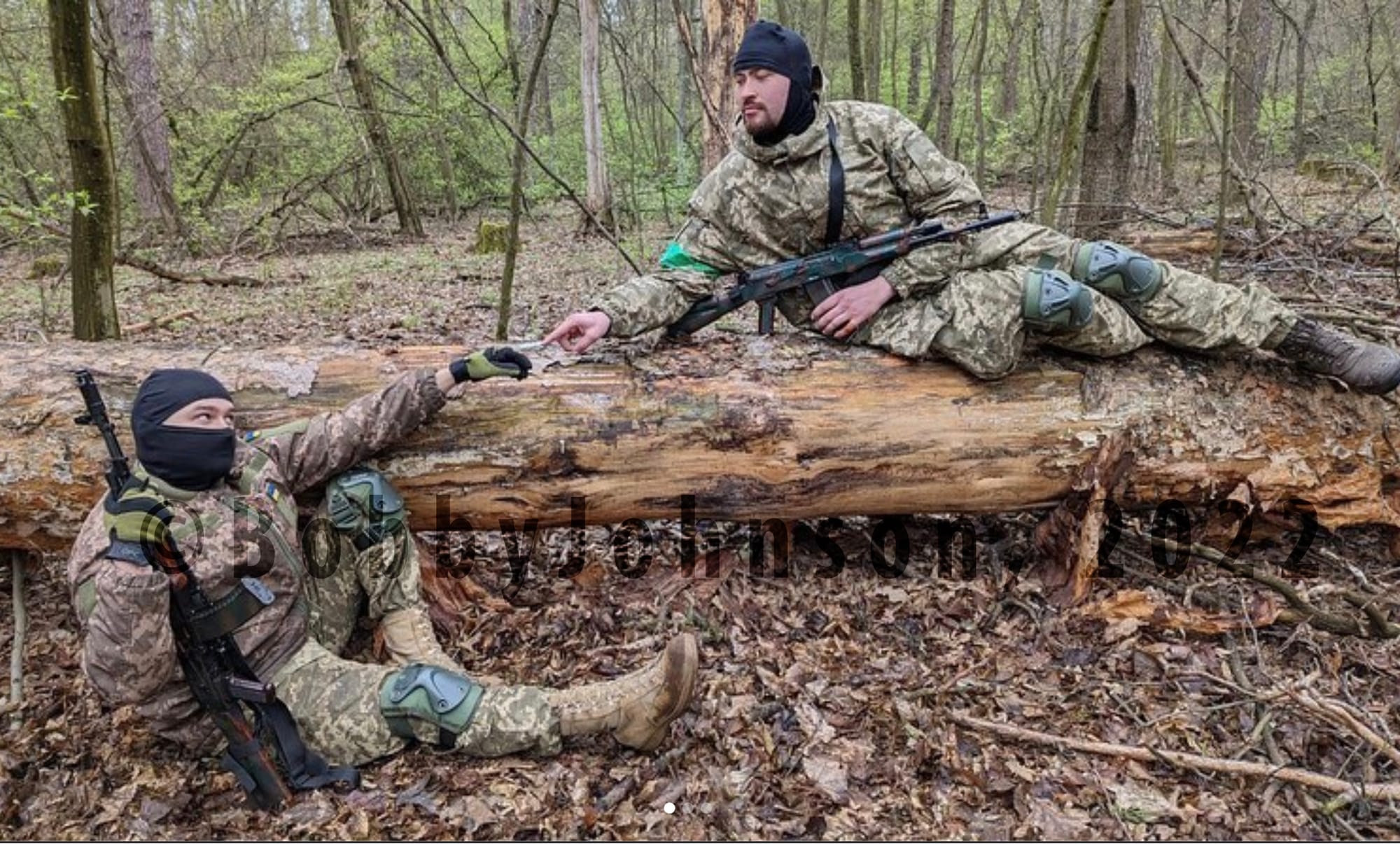 Ренесанс, Мікеланджело Створення ЗСУ