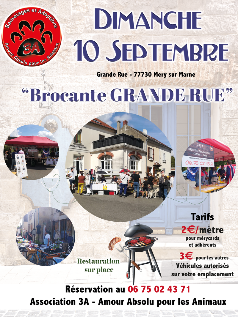 BROCANTE GRANDE RUE - 3a-aac77.fr