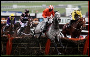 The Curious Tale of Long To Be, Labaik & The Supreme Novices Hurdle...
