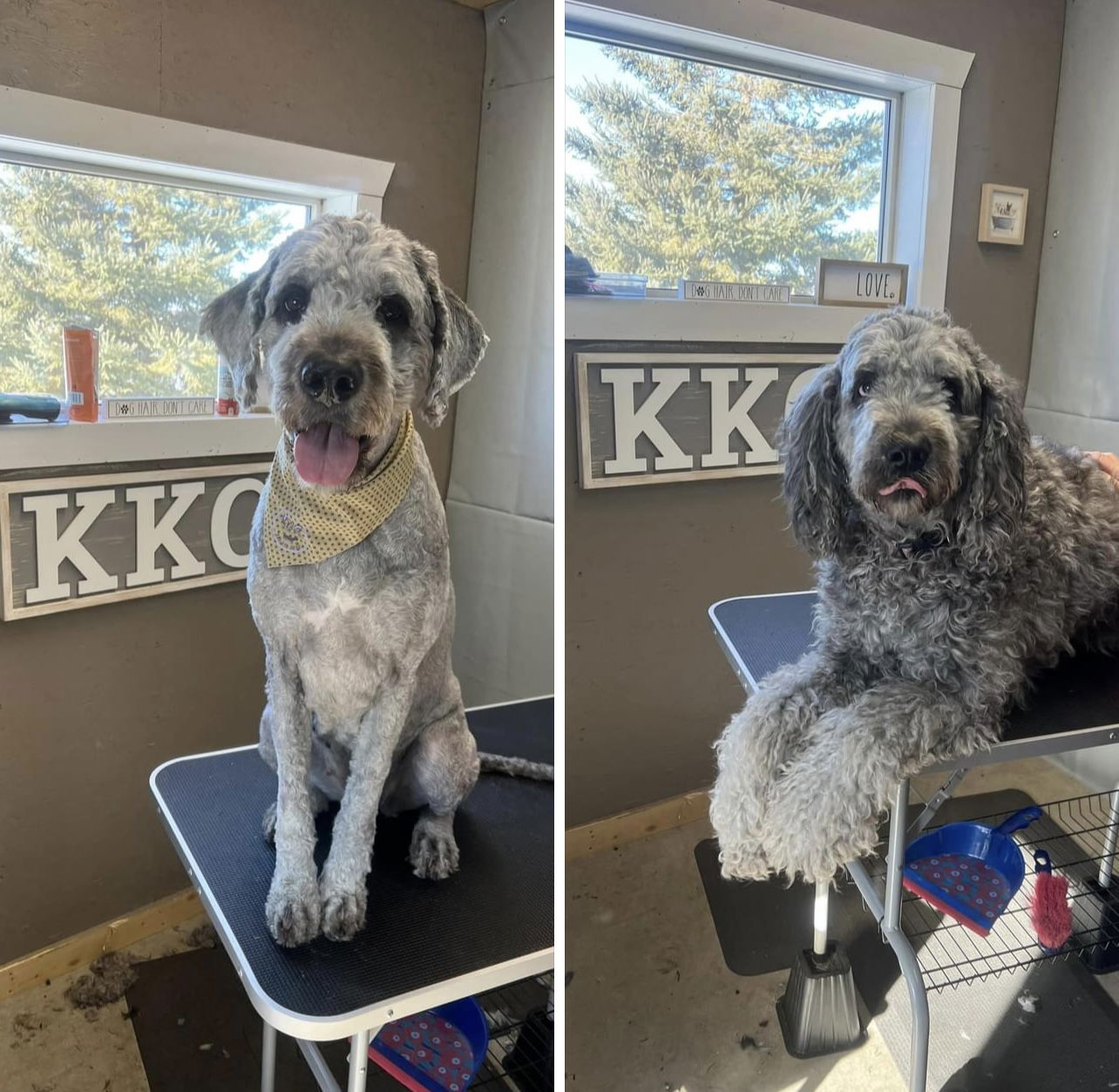 Kenna's Kennels and Cuts