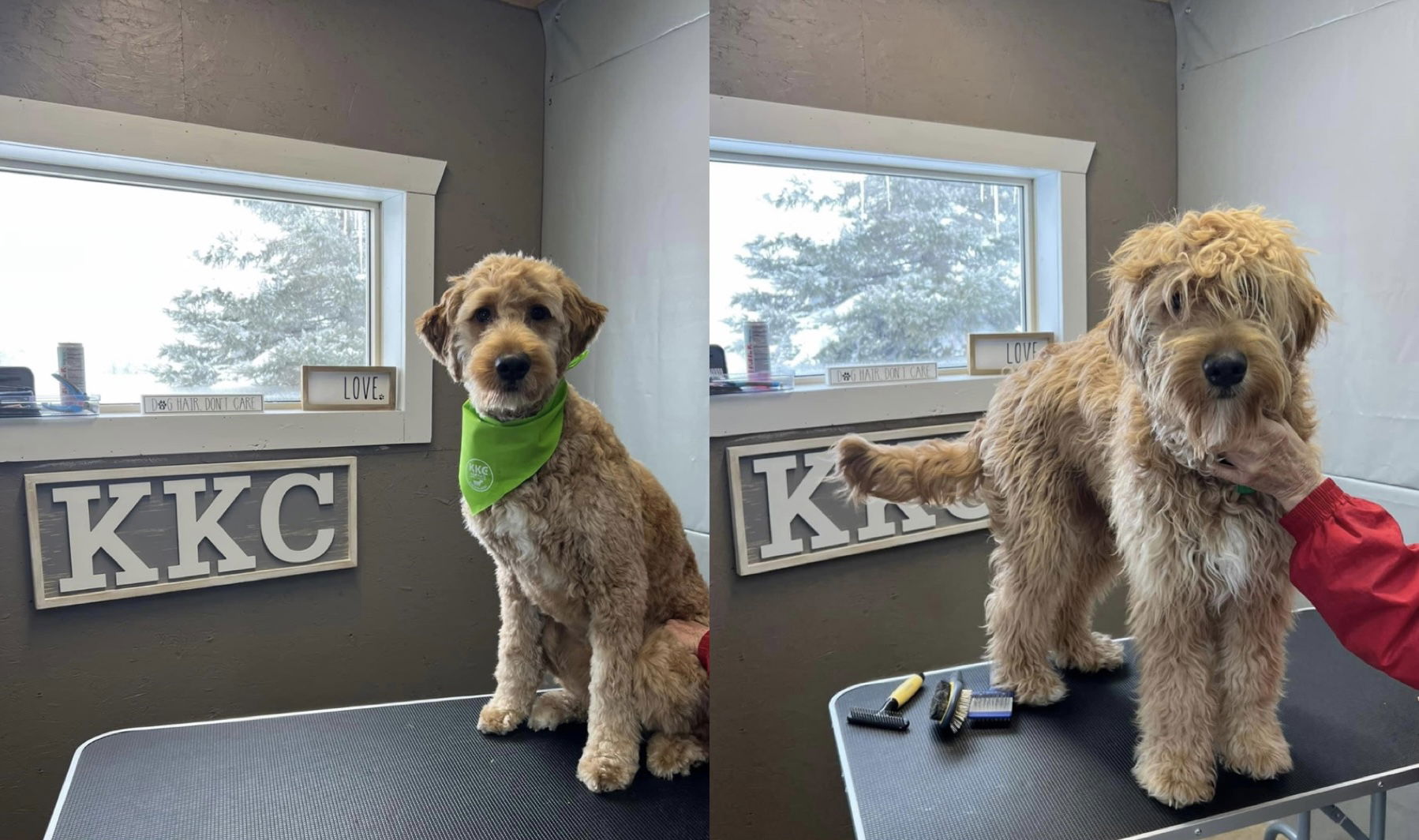 Kenna's Kennels and Cuts