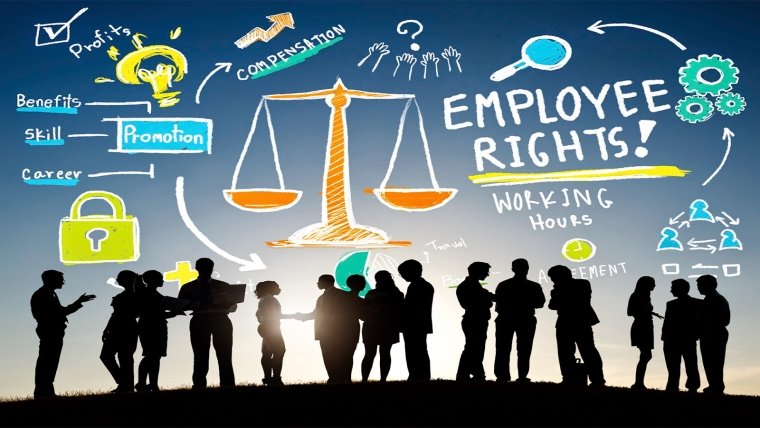 Employees rights during Holiday periods