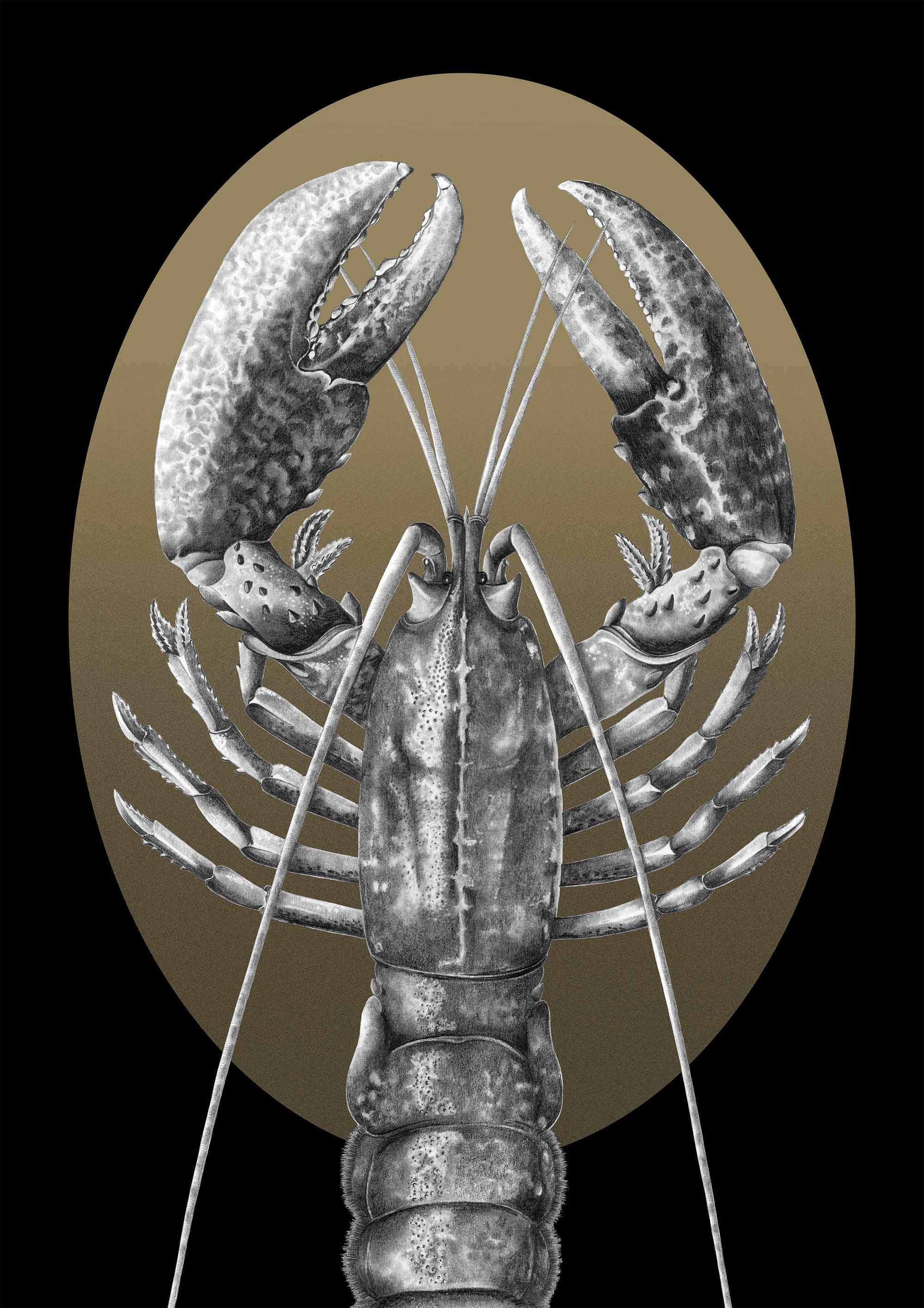 Homard sur ovale or