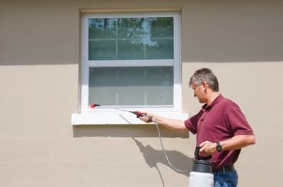 Importance of Pest Control image