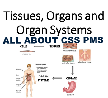 Relationship between Cells, Tissues and Organs