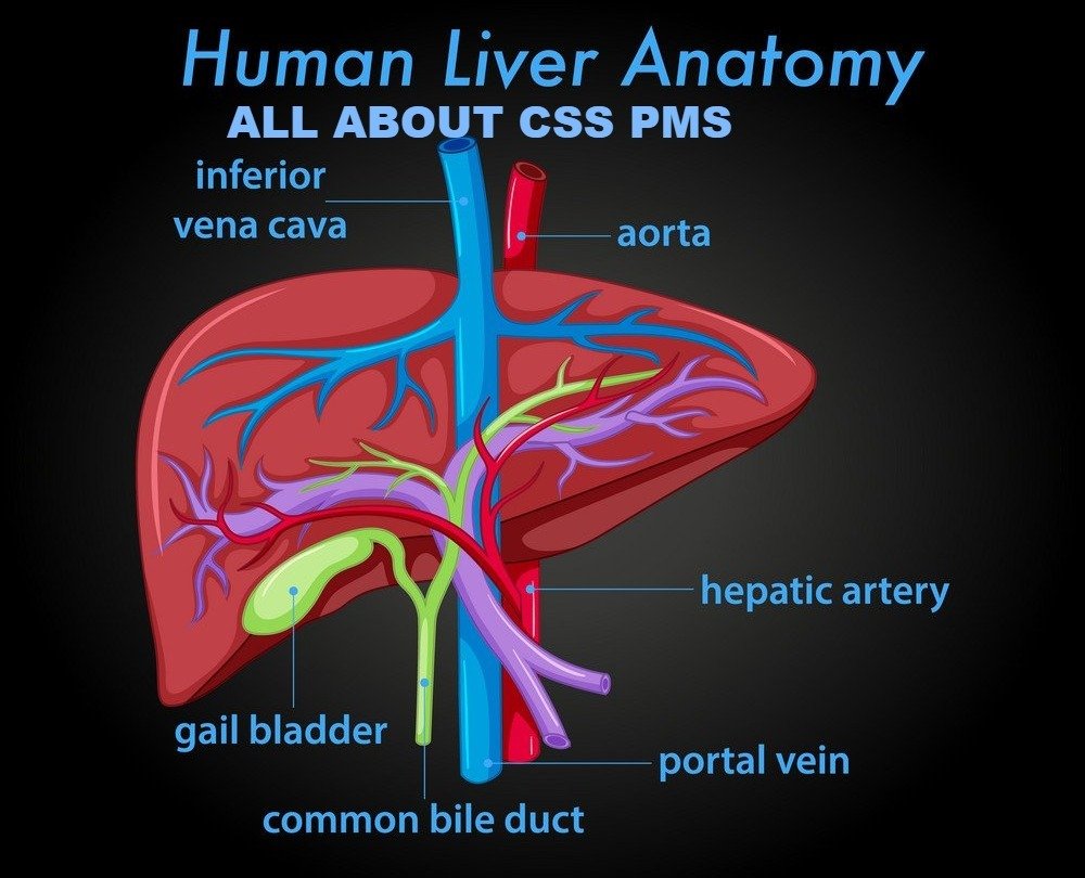 Comment, 'Liver is the chief chemist in human body'.