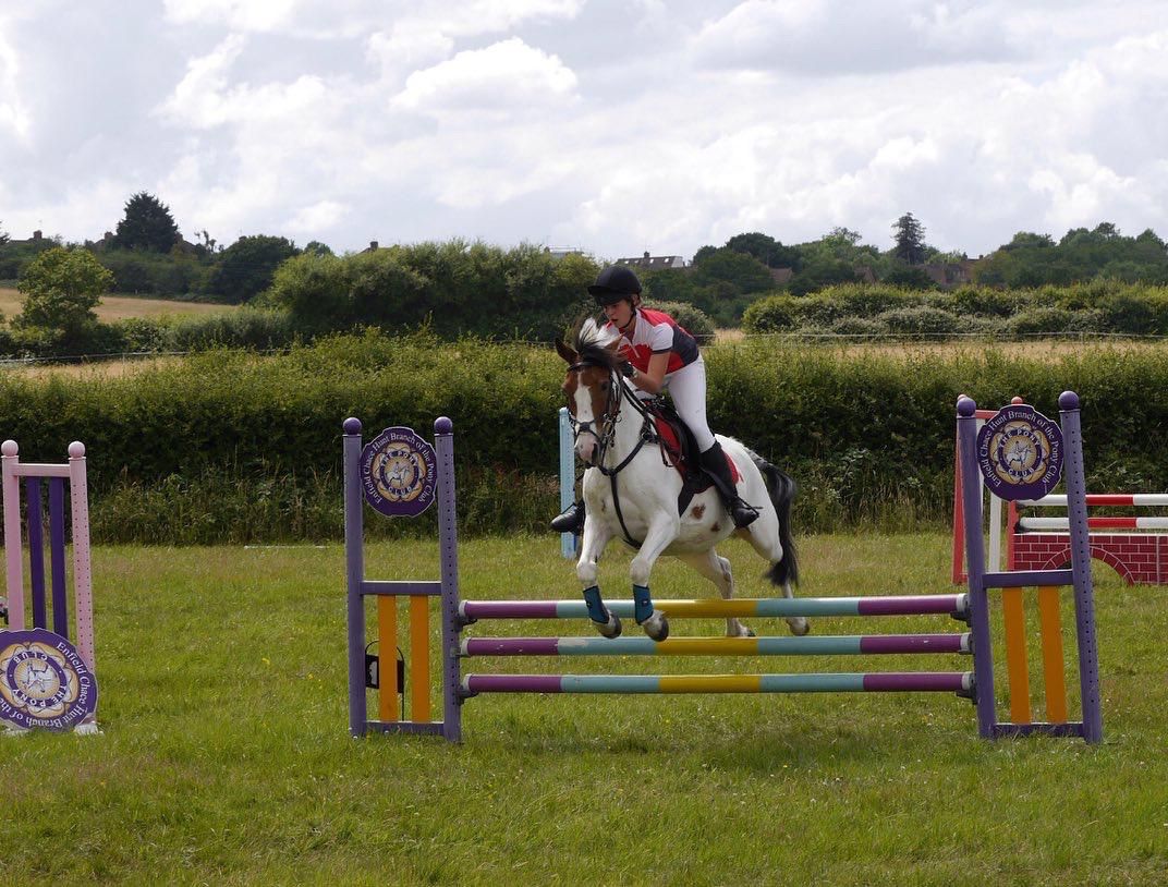 Mpyfeild Riding School Livery Yard, Riding School, Equestrian Centre, North London